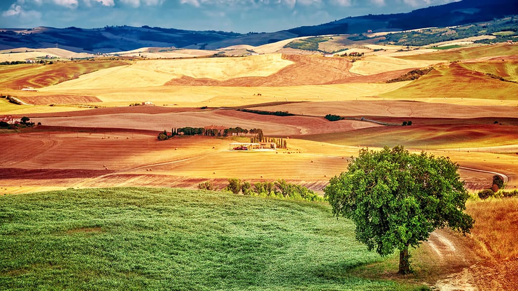 green land banner.jpg